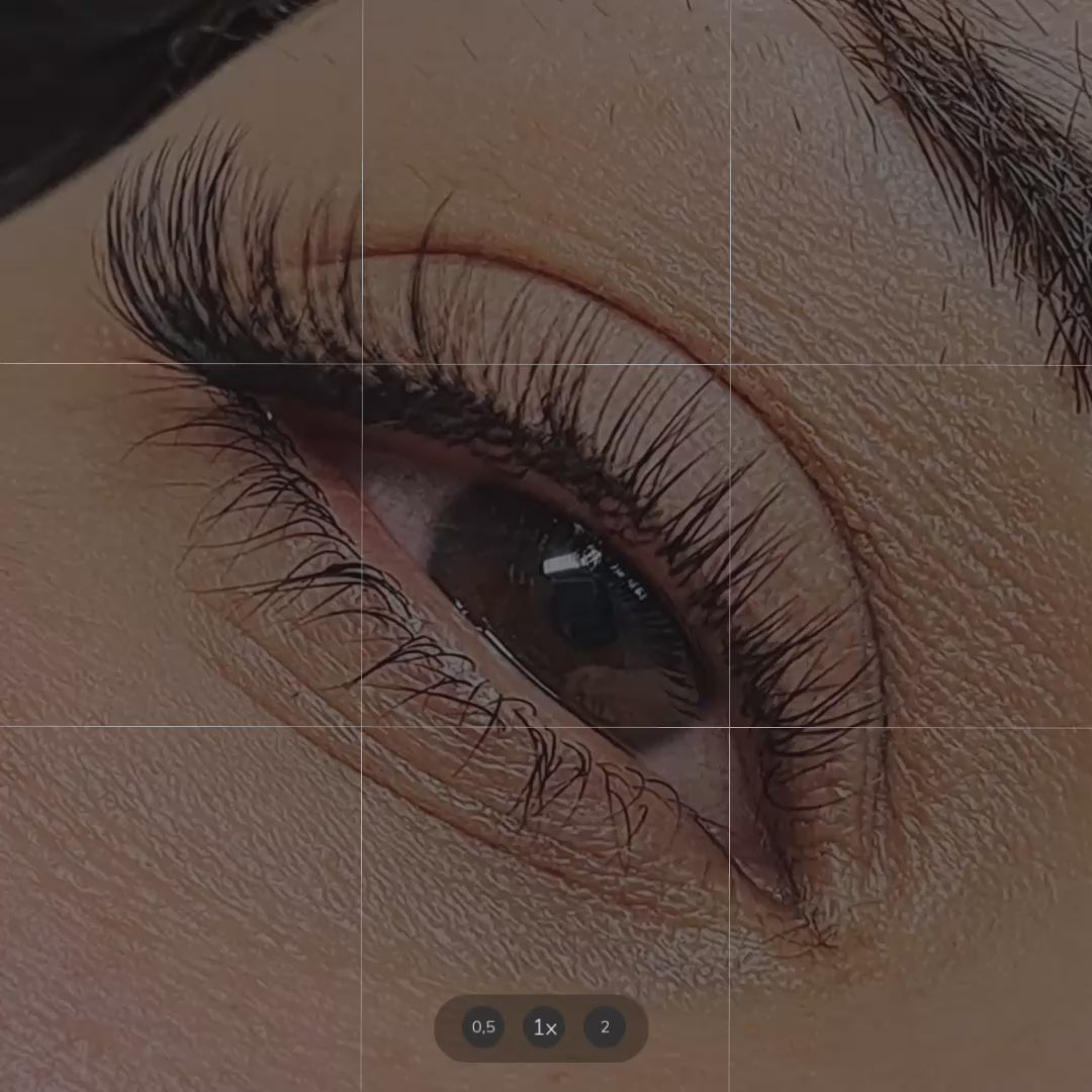 Charger la vidéo : 